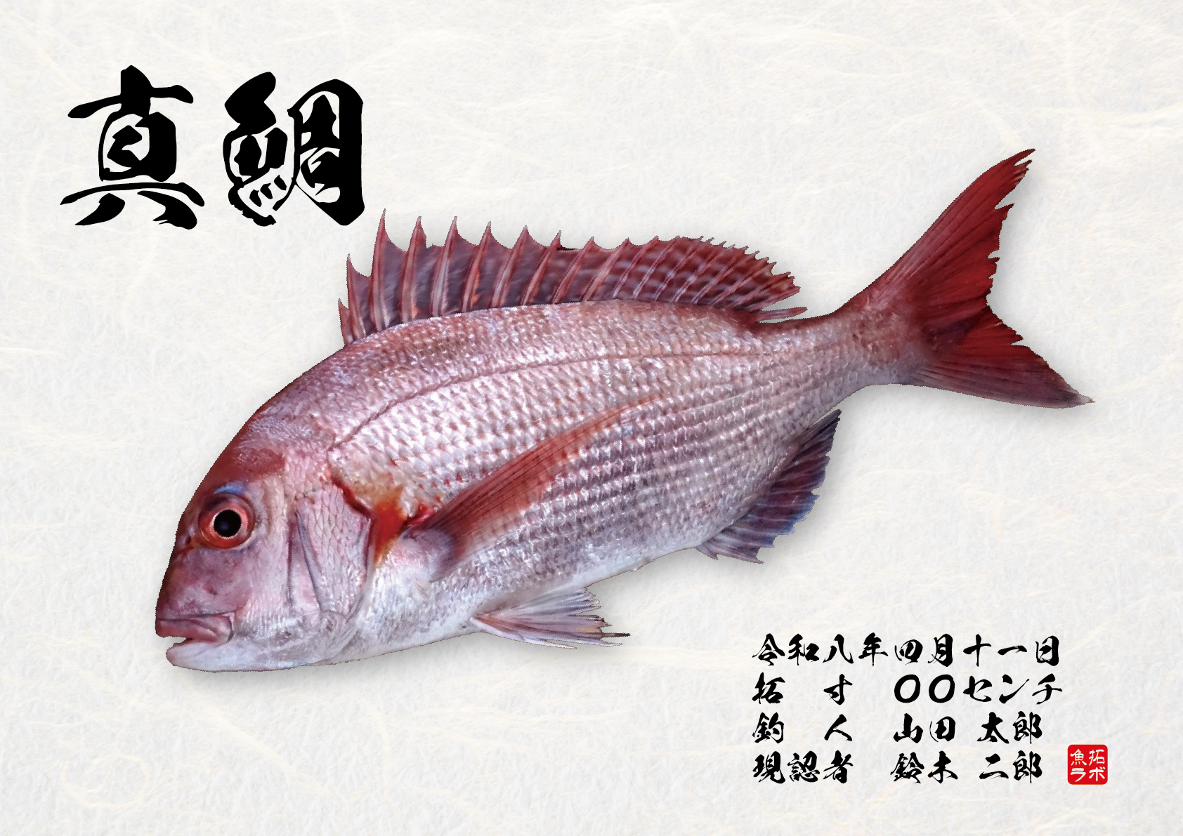 和紙