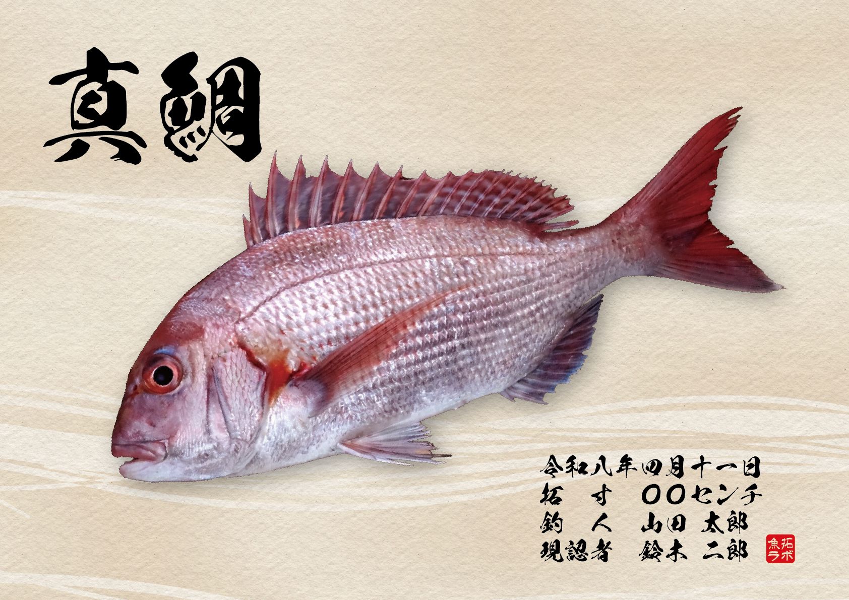 波紙風